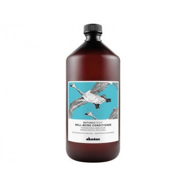 Davines Naturaltech Well-Being Conditioner 達芬莉斯美麗人生護髮素1000ml