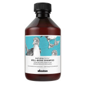 Davines Naturaltech Well-Being Shampoo 達芬莉斯美麗人生洗髮露250ml