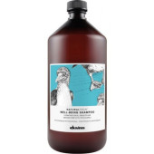 Davines Naturaltech Well-Being Shampoo 達芬莉斯美麗人生洗髮露1000ml