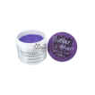 Mitsuo Ikeno Silver Ghost Color Clay Purple 紫色 80ml